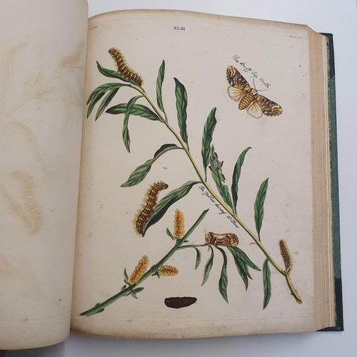 607 - Wilkes (Benjamin), English Moths And Butterflies, 120 coloured plates, leather and cloth bound