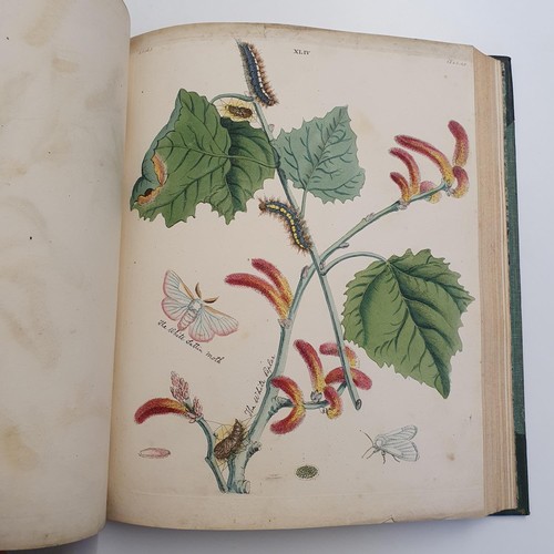 607 - Wilkes (Benjamin), English Moths And Butterflies, 120 coloured plates, leather and cloth bound