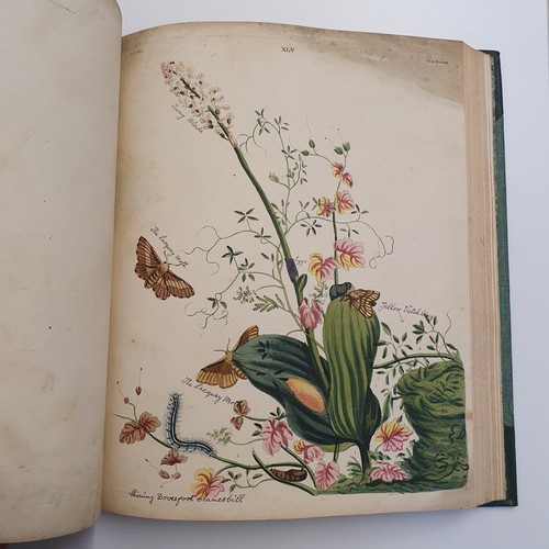 607 - Wilkes (Benjamin), English Moths And Butterflies, 120 coloured plates, leather and cloth bound