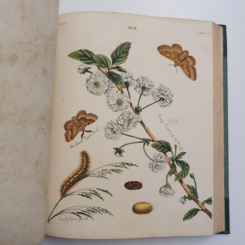 607 - Wilkes (Benjamin), English Moths And Butterflies, 120 coloured plates, leather and cloth bound