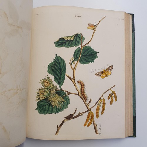 607 - Wilkes (Benjamin), English Moths And Butterflies, 120 coloured plates, leather and cloth bound