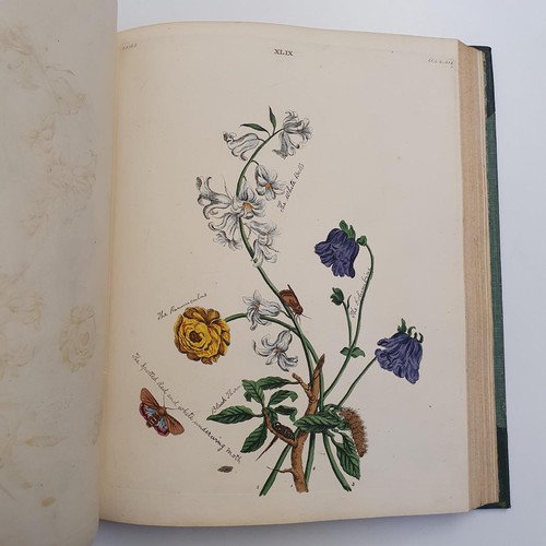 607 - Wilkes (Benjamin), English Moths And Butterflies, 120 coloured plates, leather and cloth bound