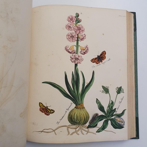 607 - Wilkes (Benjamin), English Moths And Butterflies, 120 coloured plates, leather and cloth bound