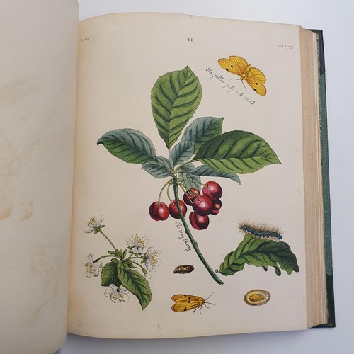 607 - Wilkes (Benjamin), English Moths And Butterflies, 120 coloured plates, leather and cloth bound