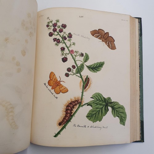 607 - Wilkes (Benjamin), English Moths And Butterflies, 120 coloured plates, leather and cloth bound