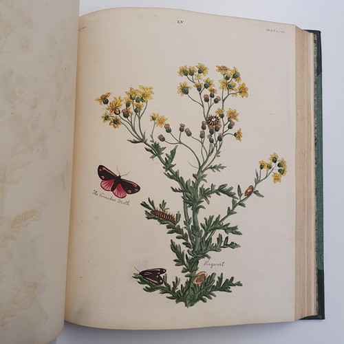 607 - Wilkes (Benjamin), English Moths And Butterflies, 120 coloured plates, leather and cloth bound