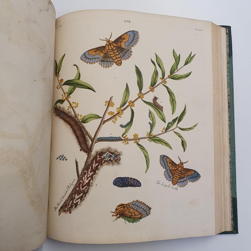 607 - Wilkes (Benjamin), English Moths And Butterflies, 120 coloured plates, leather and cloth bound