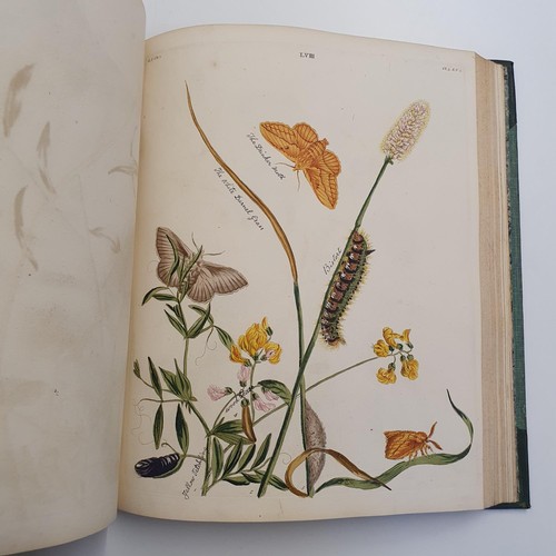 607 - Wilkes (Benjamin), English Moths And Butterflies, 120 coloured plates, leather and cloth bound