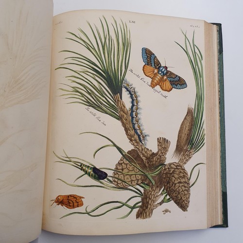 607 - Wilkes (Benjamin), English Moths And Butterflies, 120 coloured plates, leather and cloth bound