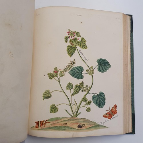 607 - Wilkes (Benjamin), English Moths And Butterflies, 120 coloured plates, leather and cloth bound