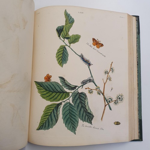 607 - Wilkes (Benjamin), English Moths And Butterflies, 120 coloured plates, leather and cloth bound