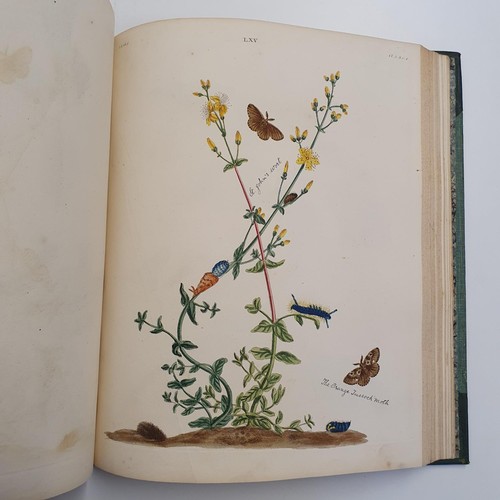 607 - Wilkes (Benjamin), English Moths And Butterflies, 120 coloured plates, leather and cloth bound