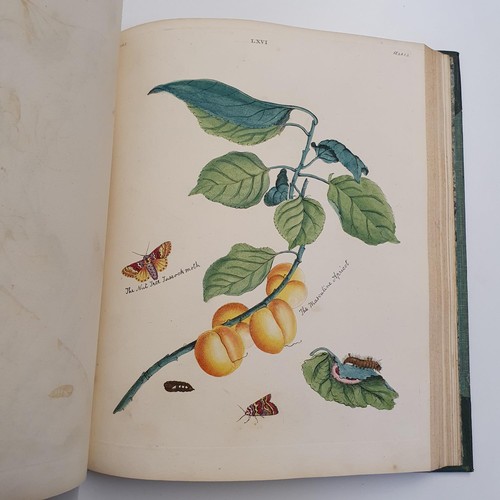 607 - Wilkes (Benjamin), English Moths And Butterflies, 120 coloured plates, leather and cloth bound