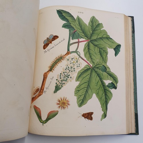 607 - Wilkes (Benjamin), English Moths And Butterflies, 120 coloured plates, leather and cloth bound