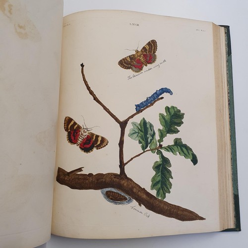 607 - Wilkes (Benjamin), English Moths And Butterflies, 120 coloured plates, leather and cloth bound