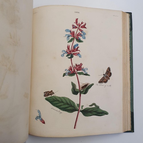 607 - Wilkes (Benjamin), English Moths And Butterflies, 120 coloured plates, leather and cloth bound