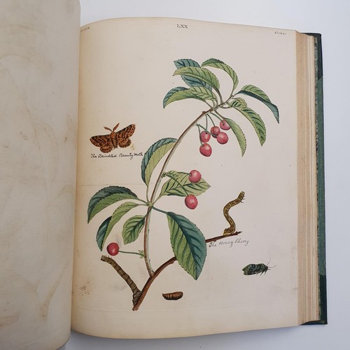 607 - Wilkes (Benjamin), English Moths And Butterflies, 120 coloured plates, leather and cloth bound