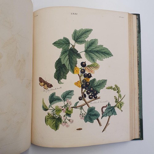 607 - Wilkes (Benjamin), English Moths And Butterflies, 120 coloured plates, leather and cloth bound