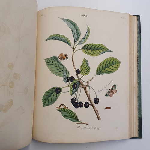 607 - Wilkes (Benjamin), English Moths And Butterflies, 120 coloured plates, leather and cloth bound