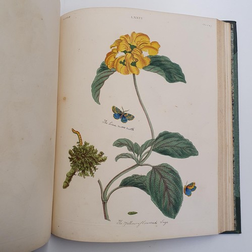 607 - Wilkes (Benjamin), English Moths And Butterflies, 120 coloured plates, leather and cloth bound