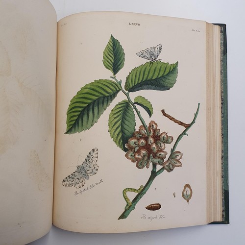 607 - Wilkes (Benjamin), English Moths And Butterflies, 120 coloured plates, leather and cloth bound