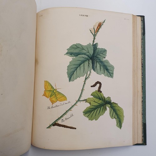 607 - Wilkes (Benjamin), English Moths And Butterflies, 120 coloured plates, leather and cloth bound