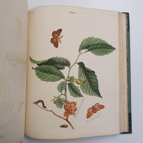 607 - Wilkes (Benjamin), English Moths And Butterflies, 120 coloured plates, leather and cloth bound