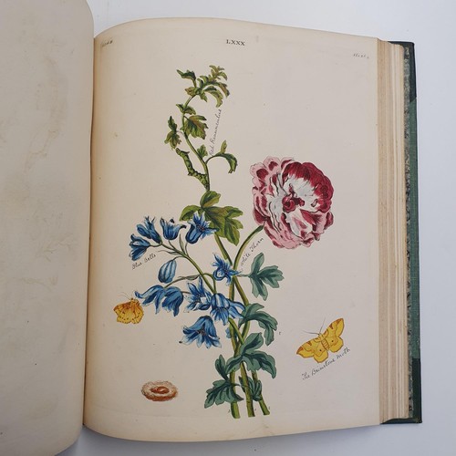 607 - Wilkes (Benjamin), English Moths And Butterflies, 120 coloured plates, leather and cloth bound