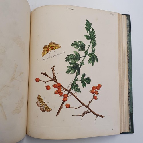 607 - Wilkes (Benjamin), English Moths And Butterflies, 120 coloured plates, leather and cloth bound