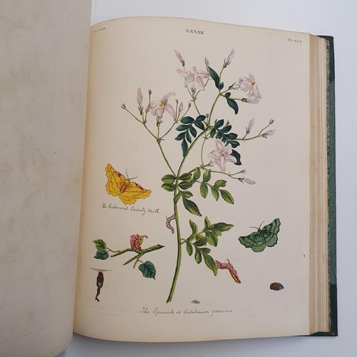 607 - Wilkes (Benjamin), English Moths And Butterflies, 120 coloured plates, leather and cloth bound