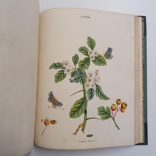 607 - Wilkes (Benjamin), English Moths And Butterflies, 120 coloured plates, leather and cloth bound