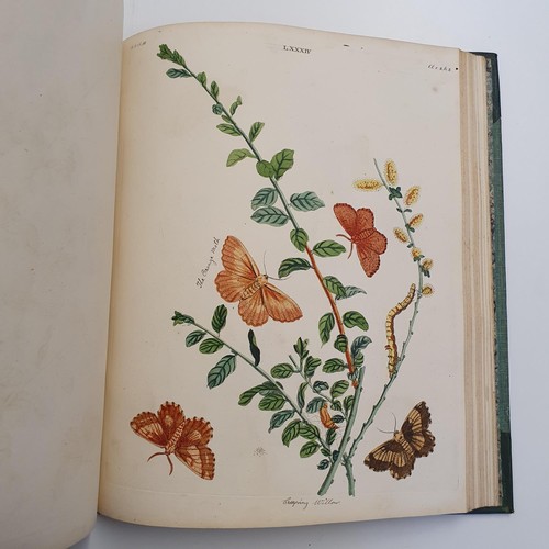 607 - Wilkes (Benjamin), English Moths And Butterflies, 120 coloured plates, leather and cloth bound