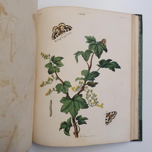 607 - Wilkes (Benjamin), English Moths And Butterflies, 120 coloured plates, leather and cloth bound