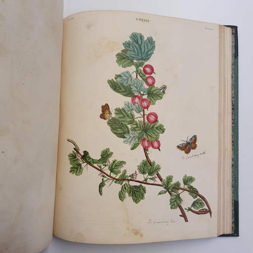 607 - Wilkes (Benjamin), English Moths And Butterflies, 120 coloured plates, leather and cloth bound