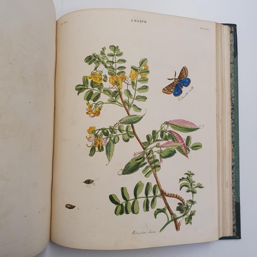 607 - Wilkes (Benjamin), English Moths And Butterflies, 120 coloured plates, leather and cloth bound