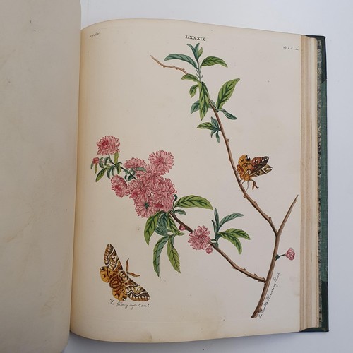 607 - Wilkes (Benjamin), English Moths And Butterflies, 120 coloured plates, leather and cloth bound