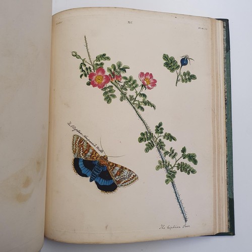 607 - Wilkes (Benjamin), English Moths And Butterflies, 120 coloured plates, leather and cloth bound