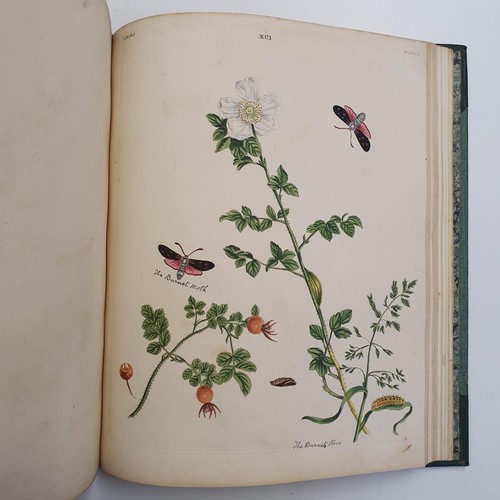 607 - Wilkes (Benjamin), English Moths And Butterflies, 120 coloured plates, leather and cloth bound