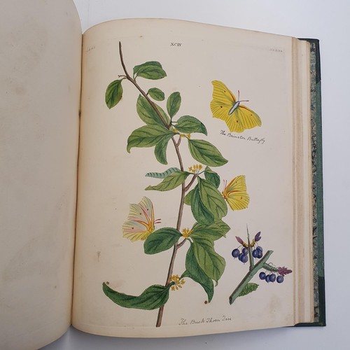 607 - Wilkes (Benjamin), English Moths And Butterflies, 120 coloured plates, leather and cloth bound