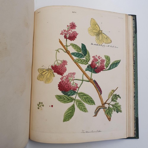 607 - Wilkes (Benjamin), English Moths And Butterflies, 120 coloured plates, leather and cloth bound