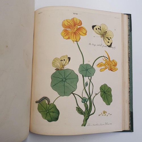 607 - Wilkes (Benjamin), English Moths And Butterflies, 120 coloured plates, leather and cloth bound