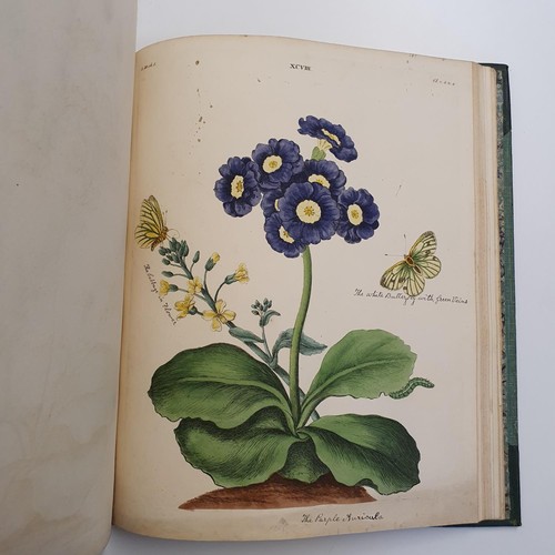 607 - Wilkes (Benjamin), English Moths And Butterflies, 120 coloured plates, leather and cloth bound