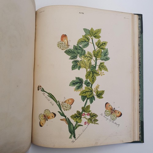 607 - Wilkes (Benjamin), English Moths And Butterflies, 120 coloured plates, leather and cloth bound