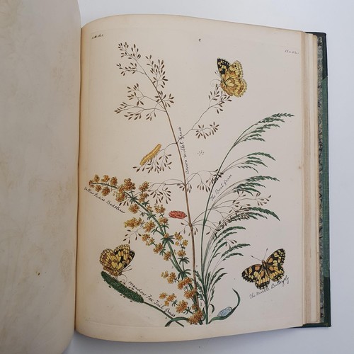 607 - Wilkes (Benjamin), English Moths And Butterflies, 120 coloured plates, leather and cloth bound