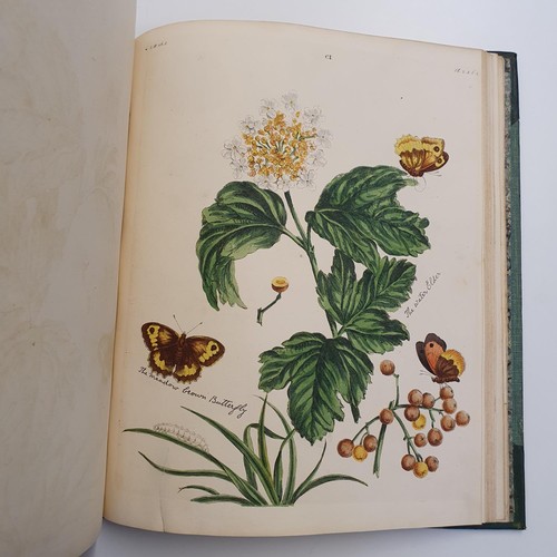 607 - Wilkes (Benjamin), English Moths And Butterflies, 120 coloured plates, leather and cloth bound