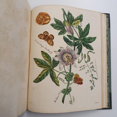 607 - Wilkes (Benjamin), English Moths And Butterflies, 120 coloured plates, leather and cloth bound