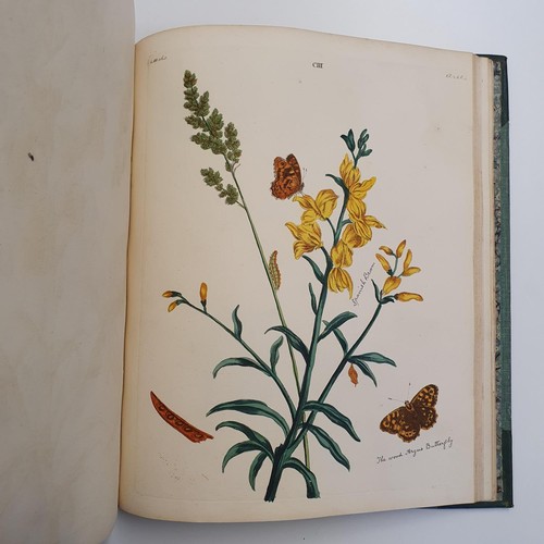 607 - Wilkes (Benjamin), English Moths And Butterflies, 120 coloured plates, leather and cloth bound