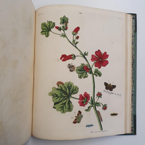 607 - Wilkes (Benjamin), English Moths And Butterflies, 120 coloured plates, leather and cloth bound