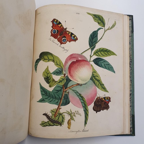 607 - Wilkes (Benjamin), English Moths And Butterflies, 120 coloured plates, leather and cloth bound