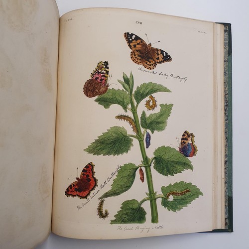 607 - Wilkes (Benjamin), English Moths And Butterflies, 120 coloured plates, leather and cloth bound